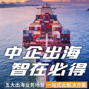 发挥优势打造企业“出海”服务公共平台